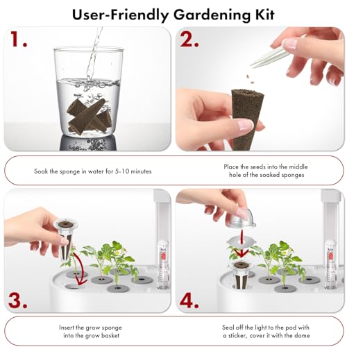 Strawberry Seed Pods for AeroGarden, Ahopegarden, iDOO Hydroponics Growing System, 350 Seeds+ Germination Including Red Cherry Tomato Golden Cherry Tomato, White Strawberry, Red Strawberry (7-Pods) - color: Fruit, size: 7pods