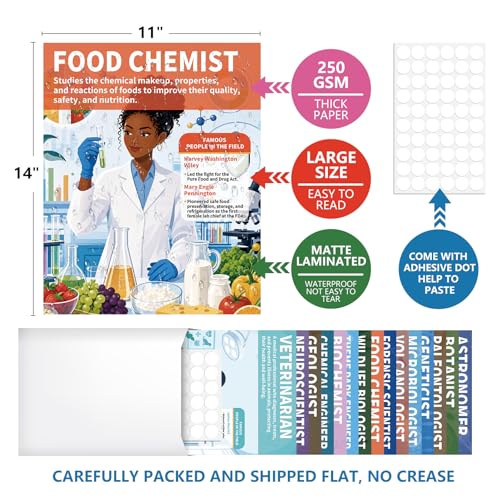 Arosche 11" x 14" Career in Science Posters for Classroom 15pc