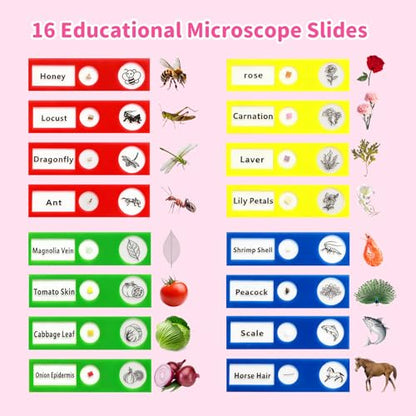BLACKROOT Microscope for Kids, 2.4" Handheld Digital Pocket Microscope - color: Pink