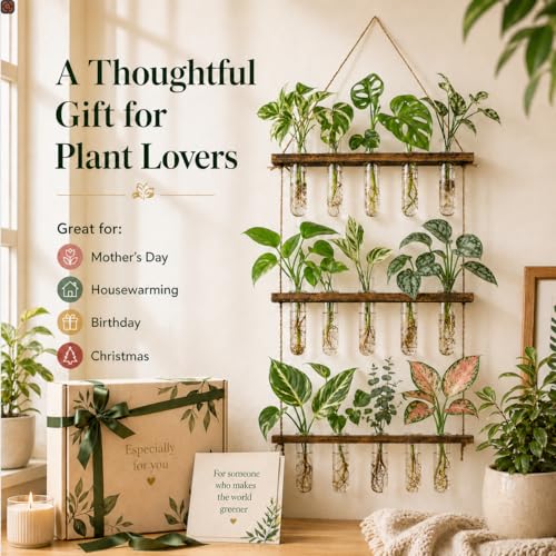 3 Tier Wall Hanging Propagation Stations with 15 Glass Test Tubes, Plant Terrarium Propagation Tubes Planter for Hydroponic Cuttings, Window Decor Gift for Plant Lovers