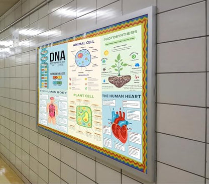 6 Biology Posters for Classroom Educational Biology Posters for High School