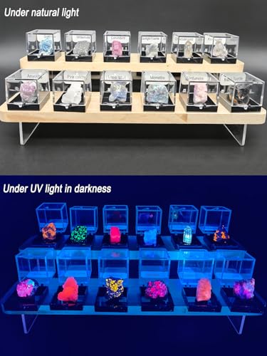 Ultimate Fluorescent Minerals Collection, 12 Rare Glowing Stones Set with UV Flashlight and Display Stand, STEM Geology Science Gift for Students and Collectors