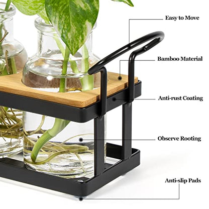 Plant Propagation Station with 5 Glass Jars, Retro Hydroponic Planter Vase - color: Black – 5 Tray