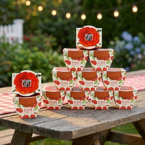 BUZZY Seeds Poppy Grow Kit 12-Pack, Mini Terracotta Pots, Indoor/Outdoor - color: 12pk Poppy