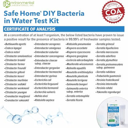 Safe Home DIY Bacteria in Water Test Kit (2 Pack) - color: 2-Pack