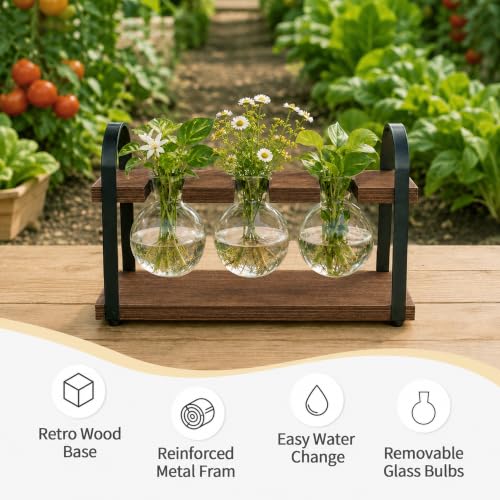 3-Bulb Plant Propagation Station, Glass Vase Terrarium, Brown - color: Brown