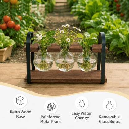 3-Bulb Plant Propagation Station, Glass Vase Terrarium, Brown - color: Brown