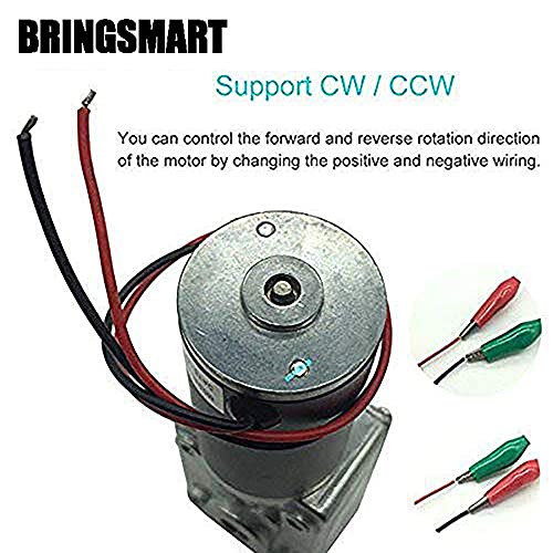 BRINGSMART 24V 16rpm DC Worm Gear Motor Self-Locking Mini Engine Turbine - size: 24V 16rpm