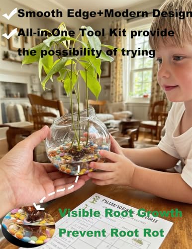 3 Pack Hanging Propagation Stations with Care Tool Kit (Squeeze Bottle & Tweezers Included), Glass Wall Planters for Indoor Plants, Hydroponic Terrarium Vases, Plant Lover Gifts for Women, Home Decor