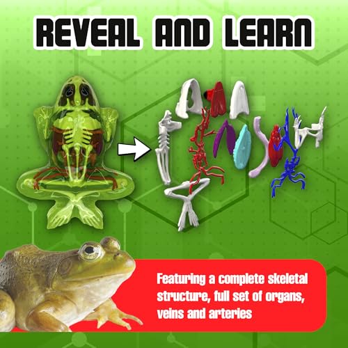Dissect-It, Deluxe Frog Dissection Kit, STEM Toys for Kids, Ages 6+