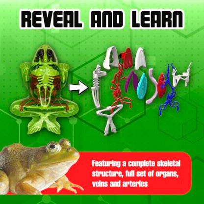 Dissect-It, Deluxe Frog Dissection Kit, STEM Toys for Kids, Ages 6+