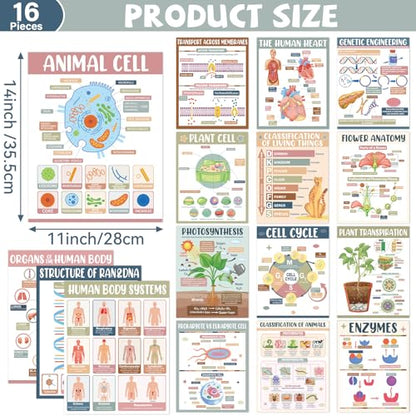 Yakydesign 16PCS Boho Life Science Posters High School Classroom Decorations Biology Poster Charts Classroom Supplies Biology Education Bulletin Board for Teachers School Office Wall Door Decor