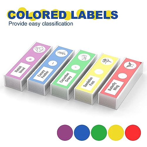 60pcs Plastic Prepared Microscope Slides - size: 60pcs