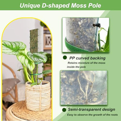 60" Metal Moss Pole, D Shape Sphagnum Moss Pole, Moss Poles for Climbing Plants, Monstera, Indoor Climbing Plants (4Pcs 60") - style: 4Pcs 60"