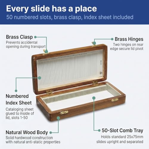 United Scientific™ Wooden Microscope Slide Box, 50 Slots with Hinged Lid