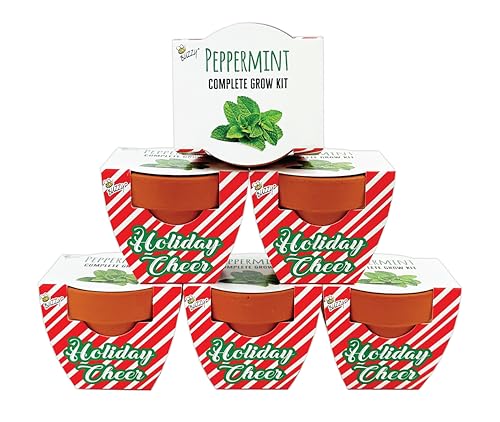 BUZZY Seeds Candy Cane Peppermint Grow Kit 6-Pack, Terracotta Pots - color: 6pk Candy Cane Peppermint
