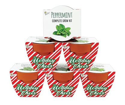 BUZZY Seeds Candy Cane Peppermint Grow Kit 6-Pack, Terracotta Pots - color: 6pk Candy Cane Peppermint