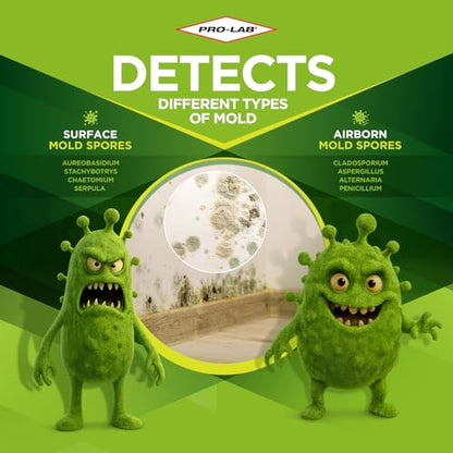 Mold Test Kit for Home, DIY Air Quality Mold Detection, Lab Fee Required - size: 1 Sample