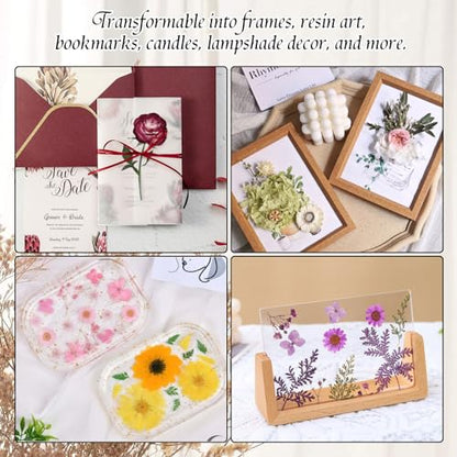 Foboull 10" x 10" Acrylic Flower Pressing Kit with Storage Bag and Detailed Instructions, Gift Flower Pressing Kit for Adults, DIY Plant Preservation
