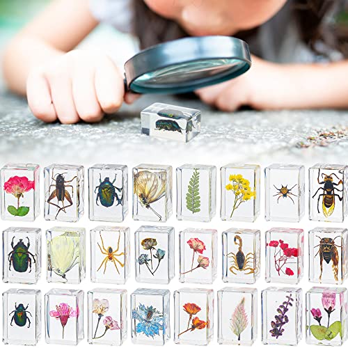 Geelin 24 Pcs Insect in Resin Specimen Set Specimen Bugs Plant Flower Paperweight Butterfly Science Mini Animals Figures for Biology Science Teacher Education Collection