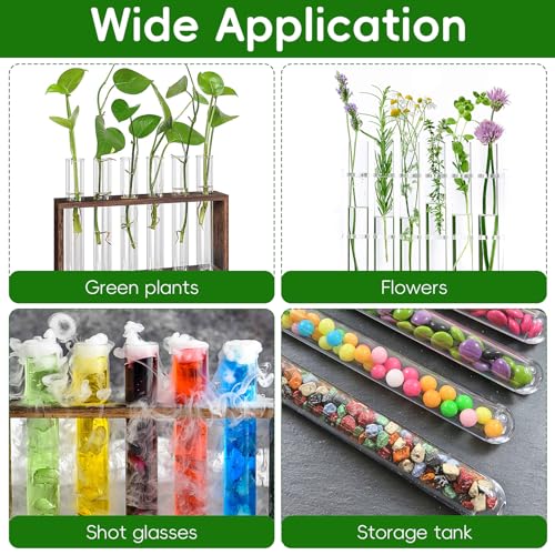 15Pcs Plastic Plant Propagation Tubes, Clear Test Tubes for Plant