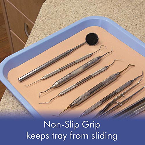 Gray Dental Autoclavable Plastic Instrument Set Up Flat Tray (13.25 Inches x 9.75 Inches, Size B) By PlastCare USA - color: Gray