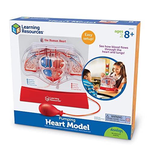 Learning Resources Pumping Heart Model