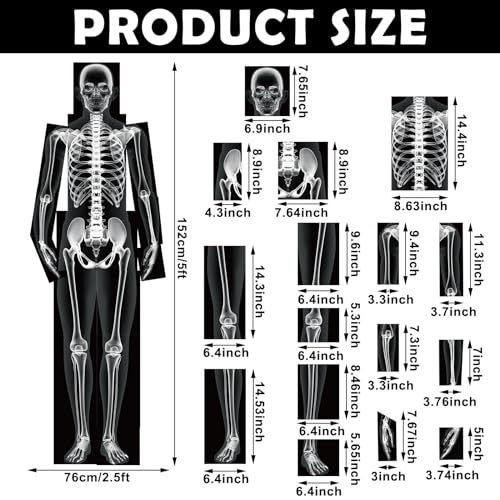 Lineshading 16 Pieces Human x Rays Bones Pretend x Rays for Kids Human Bones Body Educational Science Kit Display Play Table(Black and White) - color: Black and White
