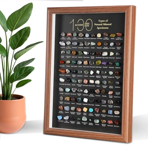 Doublefill 100 Pcs Natural Mineral Specimen Shadow Box, Real Rocks Crystals