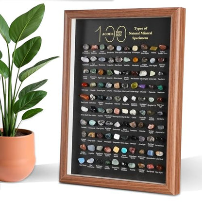 Doublefill 100 Pcs Natural Mineral Specimen Shadow Box, Real Rocks Crystals