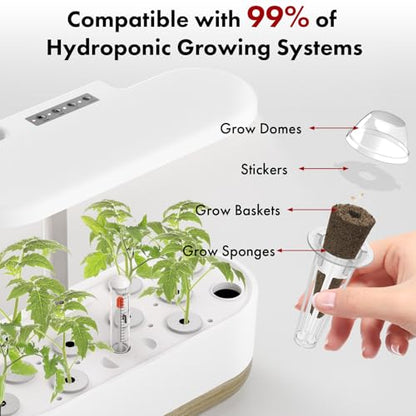 Strawberry Seed Pods for AeroGarden, Ahopegarden, iDOO Hydroponics Growing System, 350 Seeds+ Germination Including Red Cherry Tomato Golden Cherry Tomato, White Strawberry, Red Strawberry (7-Pods) - color: Fruit, size: 7pods