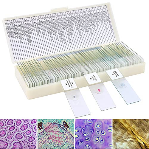 60 Microscope Slides with Specimens for Kids, Prepared Microscope Slides for Kids Microbiology, Prepared Microscope Slides for Adults - size: 60pcs