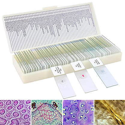 60 Microscope Slides with Specimens for Kids, Prepared Microscope Slides for Kids Microbiology, Prepared Microscope Slides for Adults - size: 60pcs