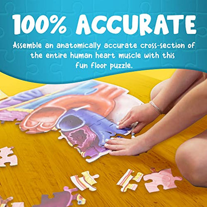 Human Heart Anatomy Floor Puzzle — Genius Games Doctor Livingston Jr Anatomy Toy - Kids Puzzles & Science Toys - Human Heart Model - 100 Piece Jigsaw Puzzles for Kids, Toddlers, Teens - style: Human Heart Puzzle
