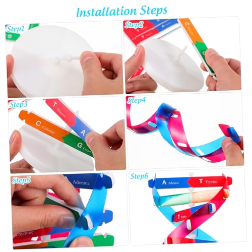 Kisangel DNA Kit Self Double Helix Model Kit Assembling DNA Display Stand Human Genes Learning Toy Biological Teaching Aid Science Molecular Model Kit