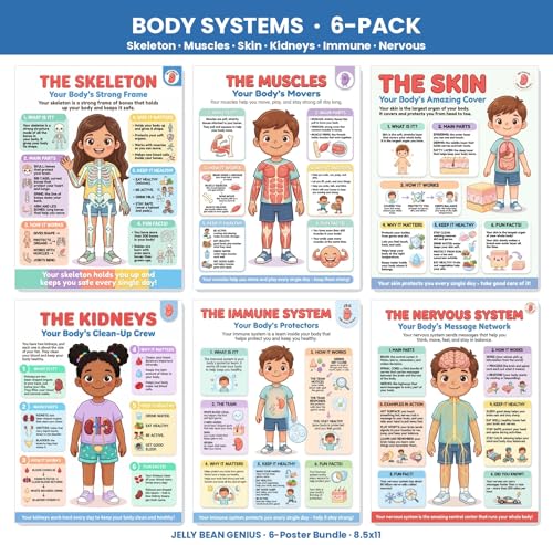 JELLY BEAN GENIUS Human Body Systems Posters Set of 6 – Laminated Dry-Erase Anatomy Charts for Classroom & Homeschool | Skeleton Muscles Kidneys Skin Nervous Wall Posters 8.5x11 - color: Human Body Systems Set of 6