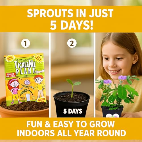 TickleMe Plant Get Well Soon Kit (1 Pack) – Grow A Tickle Me Plant that Reacts to Touch – Leaves Fold Up When You Tickle Them – Full Grow Kit of Sensitive Plants Seeds for Kids to Grow Indoors - style: Get Well Gift