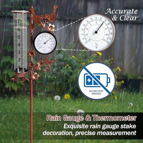 Rain Gauge Outdoor with Thermometer, Accurate & Easy to Read - color: Copper Hummingbird