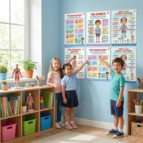 JELLY BEAN GENIUS Human Body Poster – Laminated Dry-Erase Anatomy Chart for Classroom & Homeschool | Science Educational Wall Poster 8.5x11 - color: Human Body
