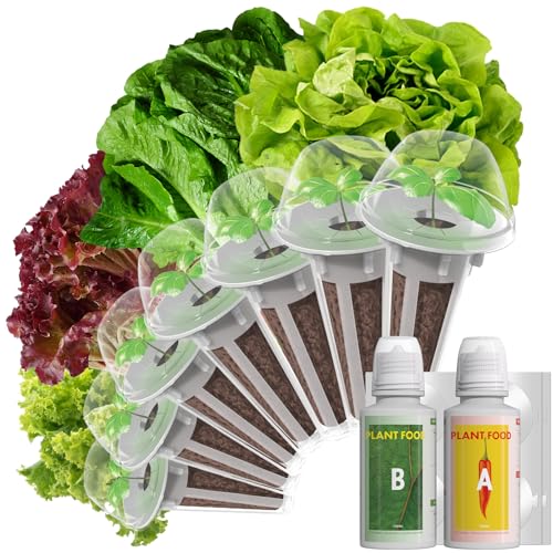 LYKOCLEAN Salad Romaine Lettuce Pods for AeroGarden, Ahopegarden, iDOO Hydroponics Growing System, 350 Seeds+ Including American Fast Lettuce, Paris Island Cos Lettuce, Buttercrunch Lettuce(7-Pods) - color: Lettuce, size: 7pods