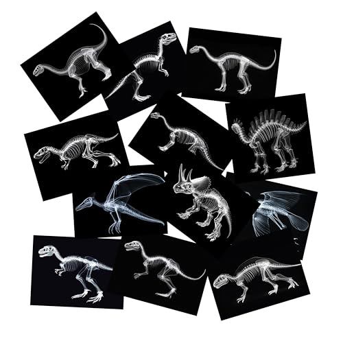 Animal X-Ray Set, Educational Science Kit, Light Table Accessory for Children (Dinosaurs) - style: Dinosaurs