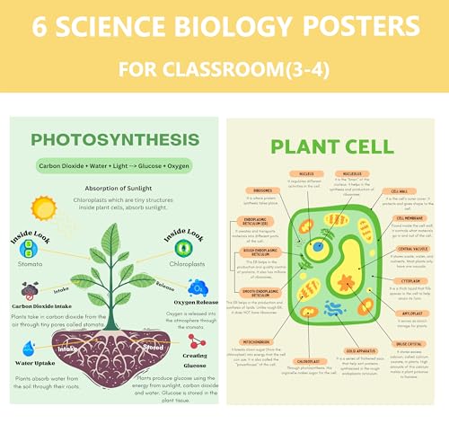6 Biology Posters for Classroom Educational Biology Posters for High School