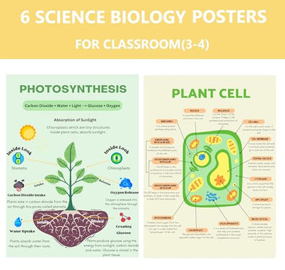 6 Biology Posters for Classroom Educational Biology Posters for High School