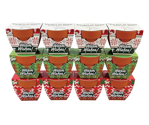 BUZZY Seeds Holiday Sweater Grow Kit 12-Pack, Terracotta Pots, Assorted - color: 12pk Daisy