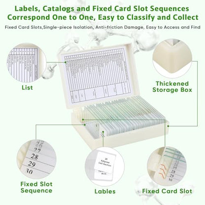 30 Prepared Microscope Slides with Specimens,Glass Slides for Microscope,Prepared Slides Microscope,Microscope Slide Preparation Kit for Biology Science Classes - size: 30 pcs