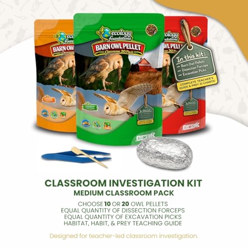 Barn Owl Pellets for Dissection for Classrooms, Medium 20-Pack Kit by OBDK - size: Medium (1.5 to 2.5 inches)