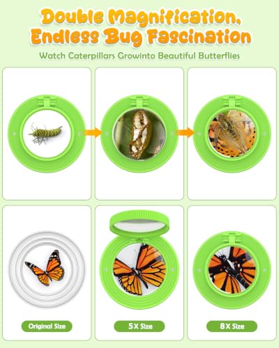 Bug Catcher for Kids,Kids Microscope,3-in-1 Insect Catching Kit for Kid - color: Green