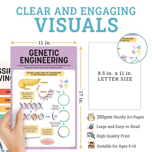 Decorably 16 Biology Posters High School, Elementary Decorations