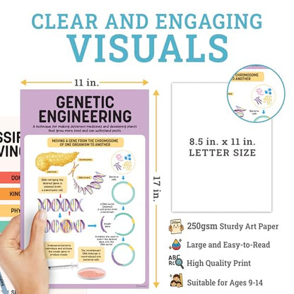 Decorably 16 Biology Posters High School, Elementary Decorations