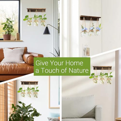 XXXFLOWER Wall Hanging Propagation Station with 3 Star-Shaped Glass Vase - size: 3 Star-Shaped Glass Vases